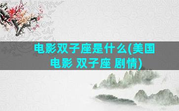 电影双子座是什么(美国 电影 双子座 剧情)